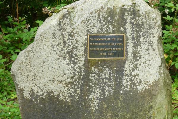 Forest sheep cull memorial