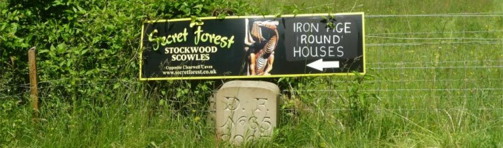 Forest Boundary Stone rev a