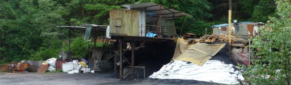 Forest freemine rev a