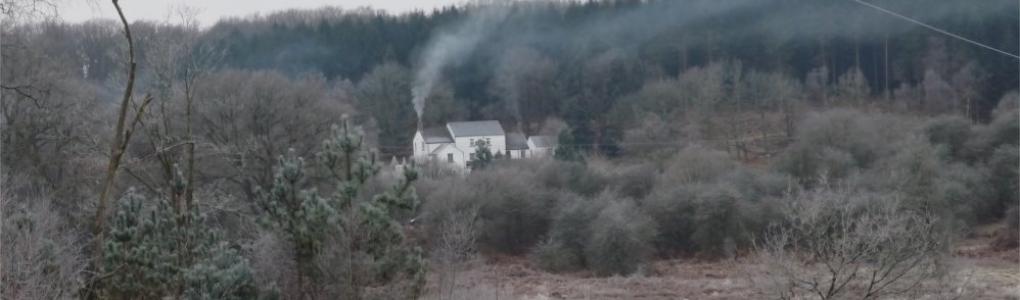 Rising Sun Moseley Green rev a