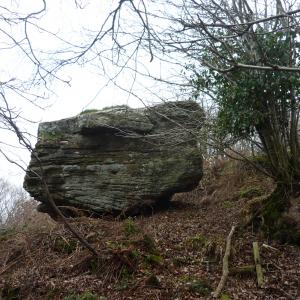 Buckstone