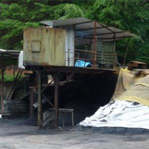 Forest freemine rev a