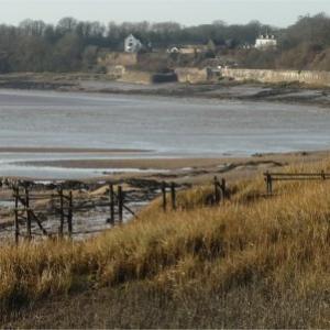 Old fishing weir Gatcombe rev a