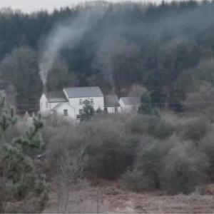 Rising Sun Moseley Green rev a