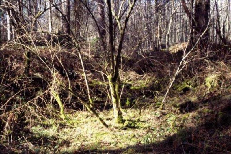 SMDB Image 056