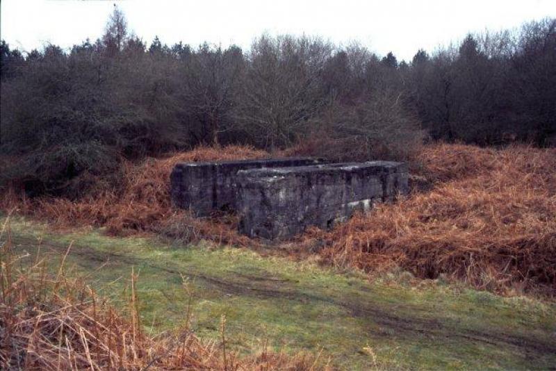 SMDB Image 057