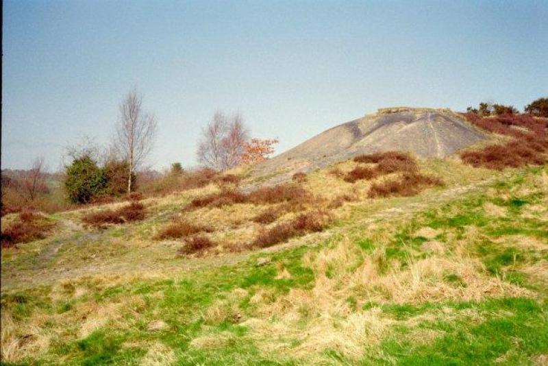 SMDB Image 110